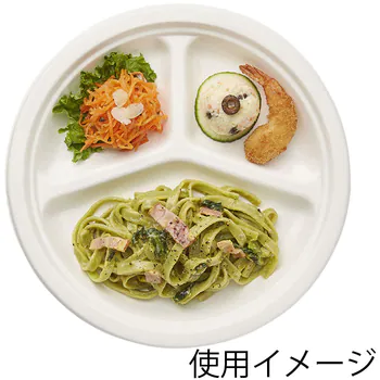 Bagasse Paper Plates with Divider, 26 cm (10.2 in.)