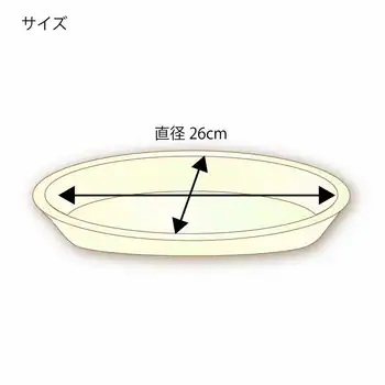 Bagasse Paper Plates with Divider, 26 cm (10.2 in.)