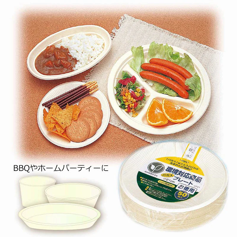 Bagasse Paper Plates with Divider, 26 cm (10.2 in.)